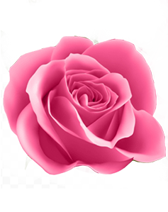 Rose Image